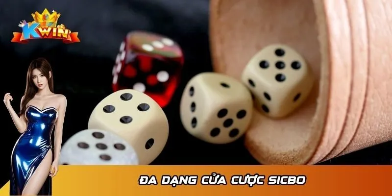 Tài Xỉu MD5 Kwin - May Mắn Về Tay Khi Soi Cầu Xí Ngầu 3 Đa dạng cửa cược Sicbo